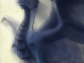belsevan__by_mao_ookaneko-d6kco77.png